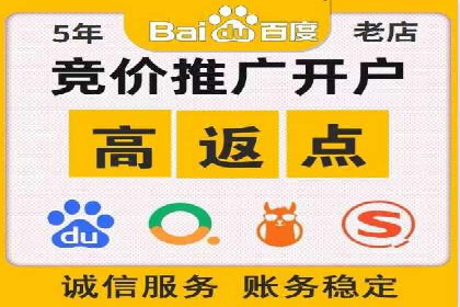 竞价排名在搜索引擎营销中的运用案例